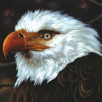 Image of Mogwai - The Hawk Is Howling Vinyl