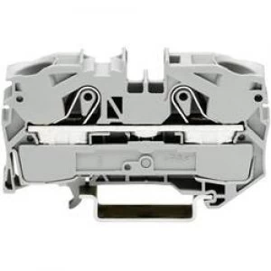 Image of Continuity 12mm Pull spring Configuration L Grey