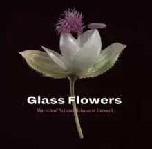 Image of Glass Flowers : Marvels of Art and Science at Harvard