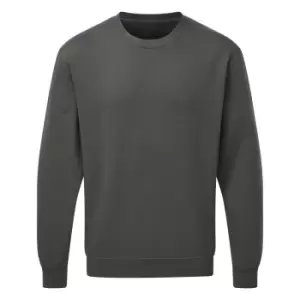 Image of SG Mens Long Sleeve Crew Neck Sweatshirt Top (M) (Cassis)