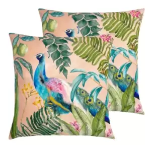 Image of Evans Lichfield Peacock Outdoor Polyester Filled Cushions Twin Pack Blush