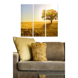 Image of MDF60985018 Multicolor Decorative MDF Painting (3 Pieces)