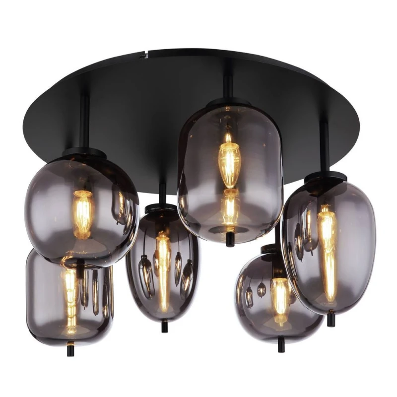 Image of Netlighting Blacky Globe Ceiling Light Matt Black Smoke Glass Shade 6x E14 Black Unisex