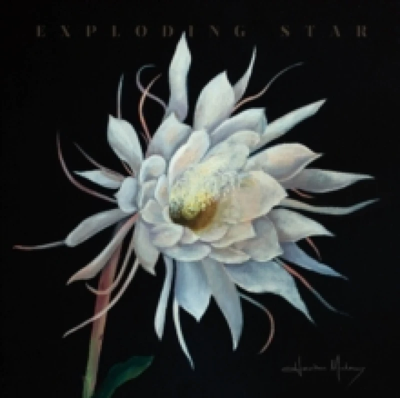 Image of Heather Maloney - Exploding Star [CD / Album] Music CDs - Music CD