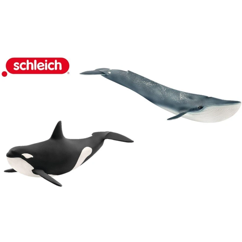 Image of Schleich Whale Bundle Multi unisex 000