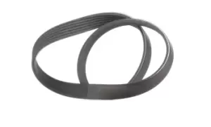 Image of CONTITECH V-ribbed belt 6PK800 Serpentine belt,Auxiliary belt OPEL,FORD,FIAT,GRANDLAND X (A18),Crossland X (P17),Combo E Kasten / Kombi (X19)