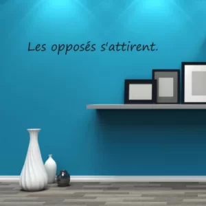 Image of YS3-05 Black Decorative Wall Sticker