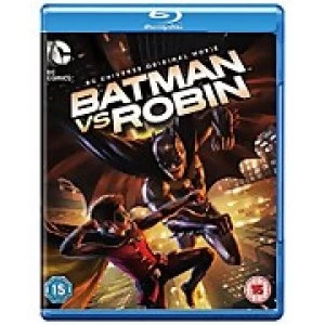Image of Batman vs Robin