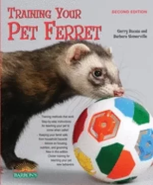 Image of training your pet ferret