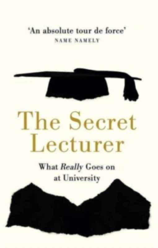 Image of The Secret Lecturer : What Really Goes on at University Paperback / softback