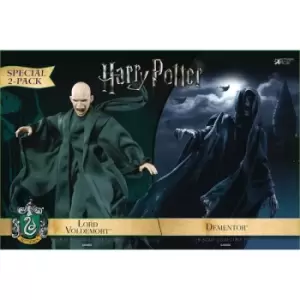 Image of HP & The Goblet of Fire Dementor with Voldermort