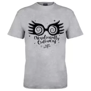 Image of Harry Potter Mens Exceptionally Ordinary T-Shirt (S) (Grey Heather)