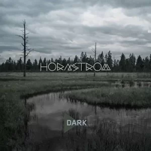 Image of Dark by Hornstrom CD Album