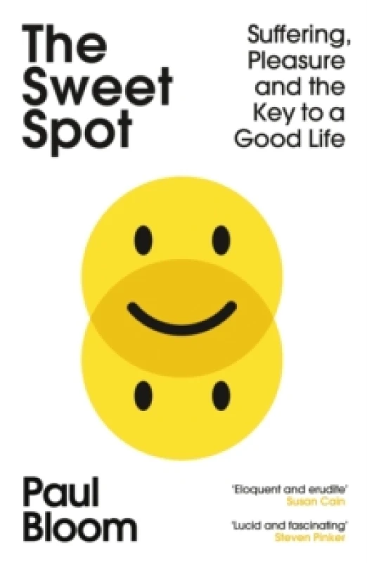 Image of The Sweet Spot : Suffering, Pleasure and the Key to a Good Life Paperback / softback