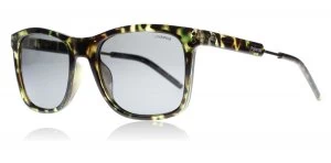 Image of Polaroid Palladium 2034S Sunglasses Green Havana Gold TRK Polariserade 53mm