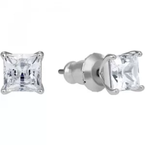 Image of Swarovski Attract Pierced Earrings