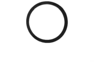 Image of EPS Gaskets 1.890.568 Gasket, thermostat OPEL,RENAULT,NISSAN,Vivaro A Kastenwagen (X83),Vivaro A Combi (X83),Vivaro A Pritsche / Fahrgestell (X83)