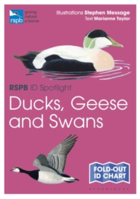 Image of RSPB ID Spotlight - Ducks, Geese and Swans Fold-out book or chart