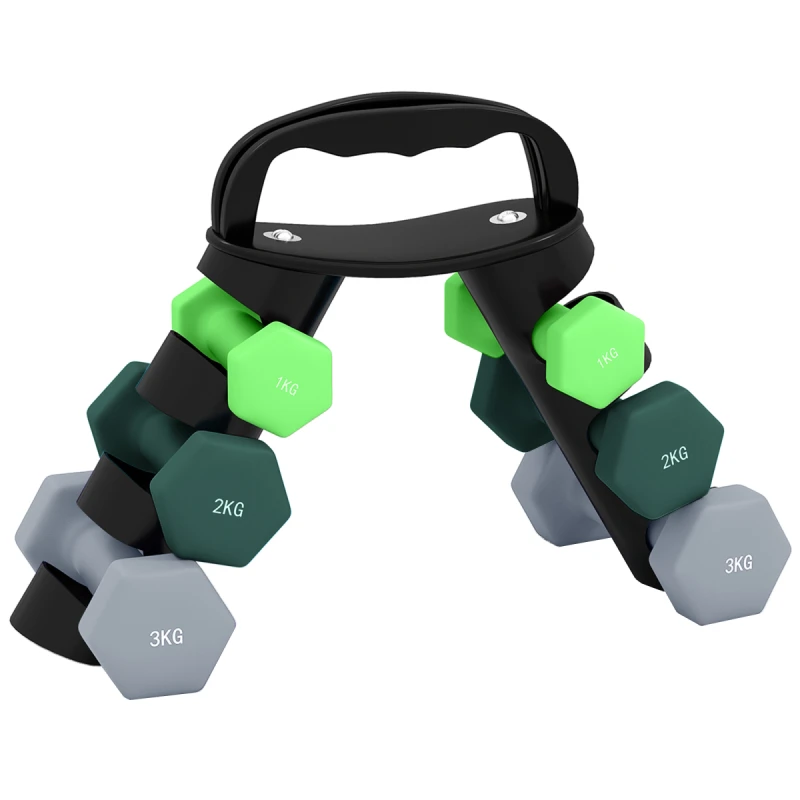 Image of SPORTNOW Dumbbells Set with Storage Rack, 2 x 1kg, 2 x 2kg, 2 x 3kg, Green A91-360V00GN