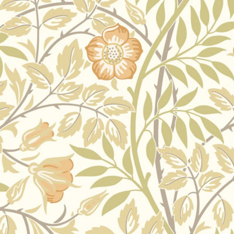 Image of Hoopla Walls Rosehip Trail Soft Amber Smooth Matt Wallpaper