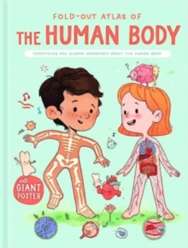 Image of The Human Body (Fold-Out Atlas of) Hardback