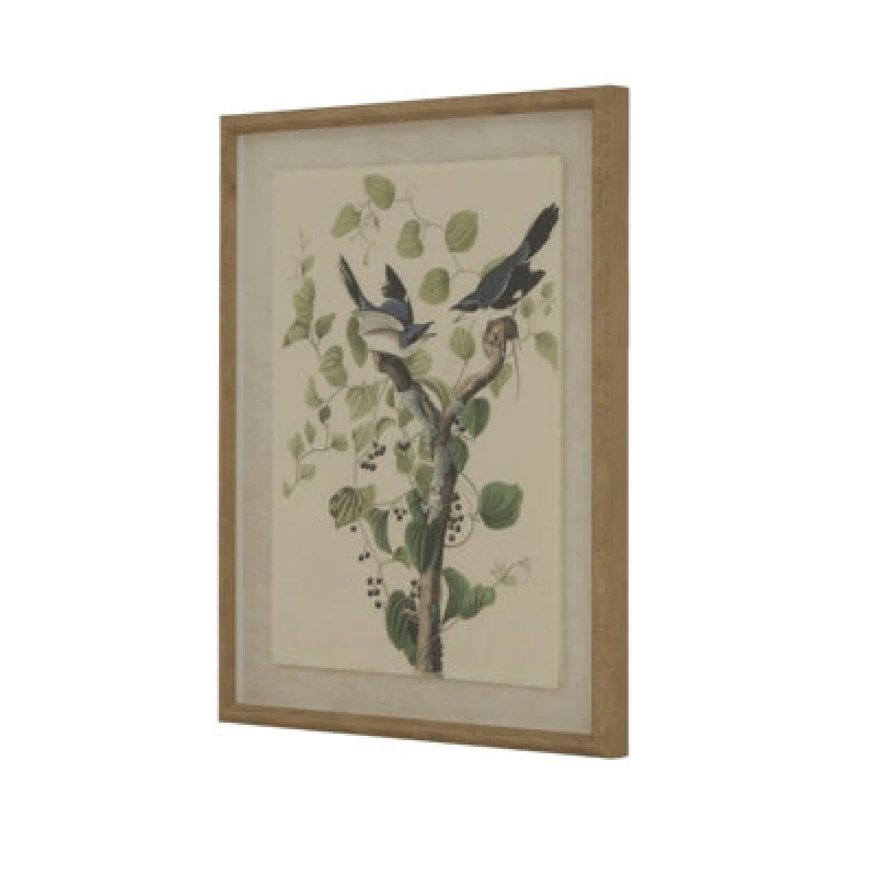 Image of Flora & Fauna Collection Shrikes On Linen In Beaded Frame