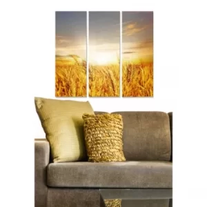 Image of MDF56100727 Multicolor Decorative MDF Painting (3 Pieces)