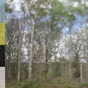 Image of Belmont Slope by The Declining Winter Vinyl Album