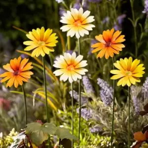 Image of Garden Gear Metal Daisy Stake Pack Of 6 Yellow Orange White