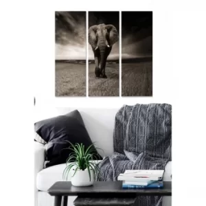 Image of MDF2870777 Multicolor Decorative MDF Painting (3 Pieces)