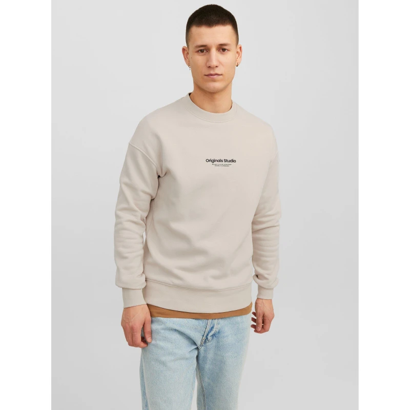 Image of Jack and Jones Jorvester Crew Sweatshirt Moonbeam male 2XL