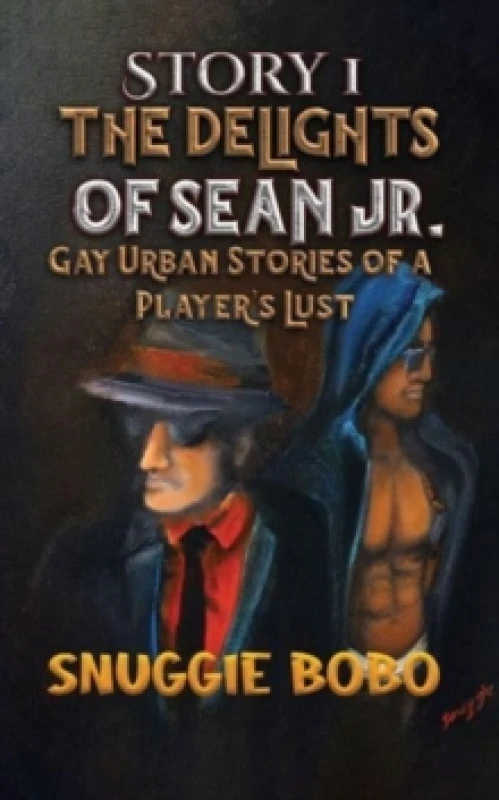 Image of Story 1: The Delights of Sean Jr. : Gay Urban Stories of a Player's Lust Paperback / softback