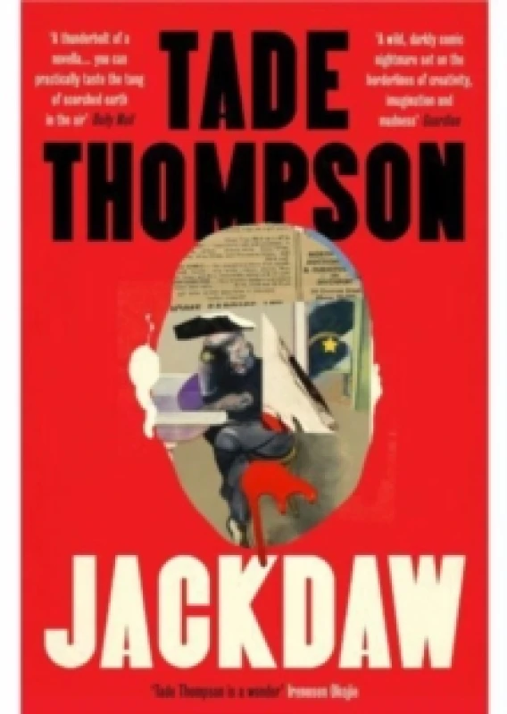 Image of Jackdaw Paperback / softback