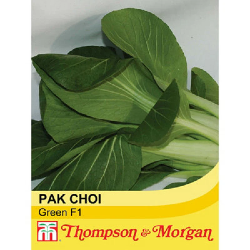 Image of Thompson & Morgan Pak Choi Green F1 Hybrid 1 Seed Packet (150 Seeds)
