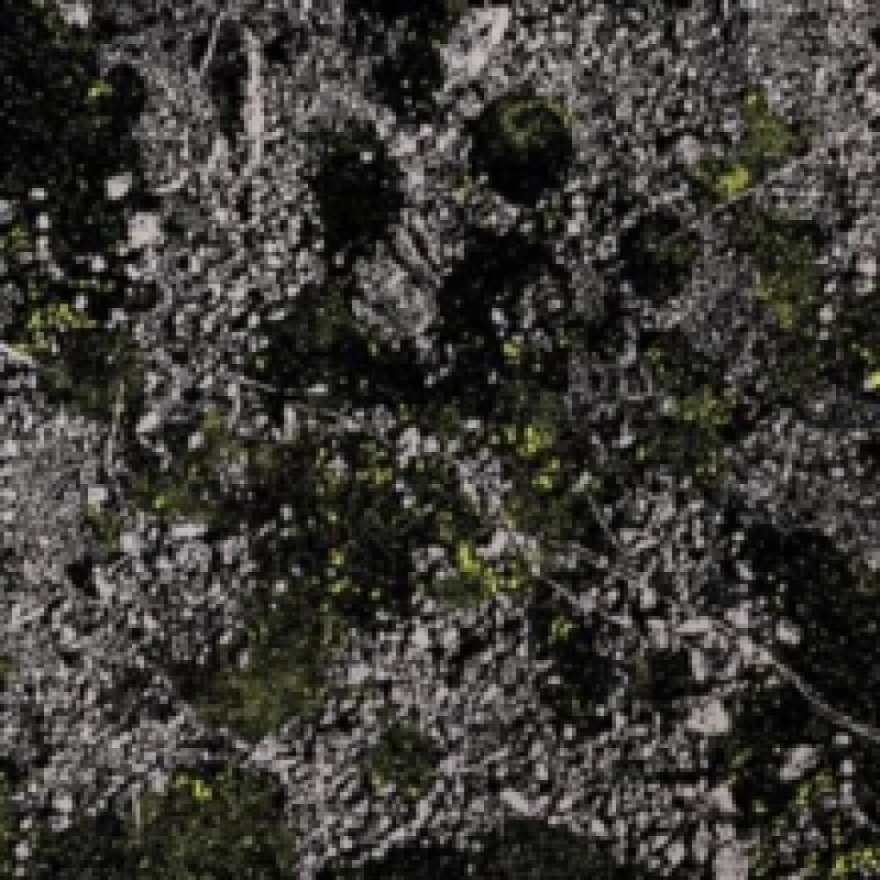 Image of Infest the rats' nest: Live at Red Rocks 2022 Vinyl