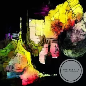 Image of Pioneer of Nothing by You Blew It! Vinyl Album