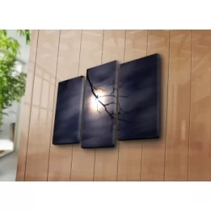 Image of 3NATPAT-36 Multicolor Decorative Canvas Painting (3 Pieces)