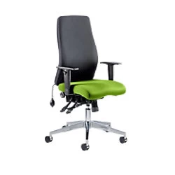 Image of Dynamic Independent Seat & Back Posture Chair Height Adjustable Arms Onyx Ergo Myrrh Green Seat Without Headrest High Back