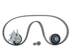 Image of SKF Timing belt kit FORD,FIAT,PEUGEOT VKMA 03257 9400830749,9467642480,051660 0516A4,0816G3,0816K5,0816K8,0829A4,083051,083072,083074,0831K0,0831T5