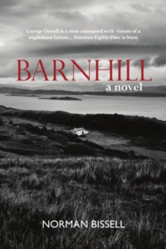 Image of Barnhill : A Novel Paperback / softback