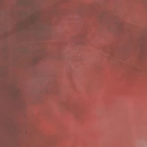 Image of Speaker Music - Of Desire Longing Vinyl