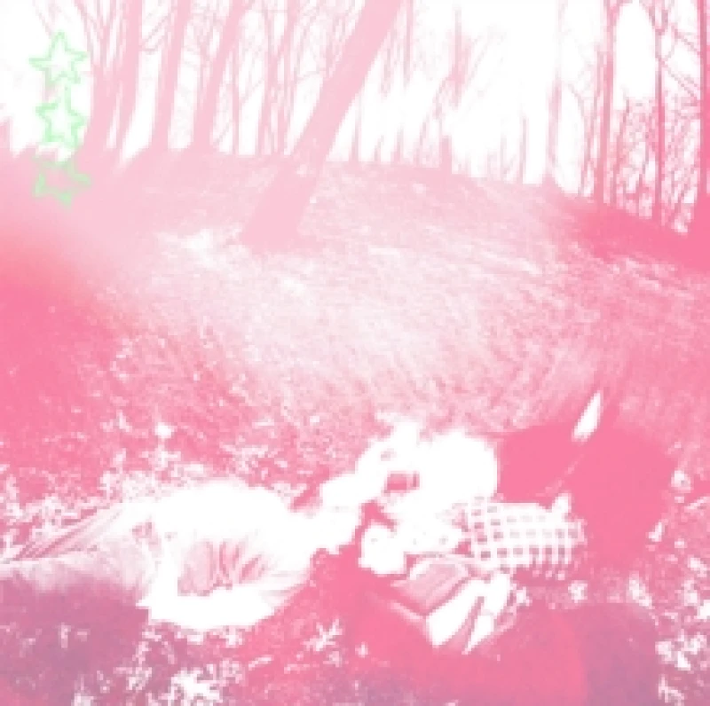 Image of Shower Curtain Words from a Wishing Well (Vinyl) 12 Album Coloured Vinyl (Limited Edition)