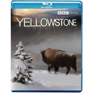 Image of Yellowstone Bluray