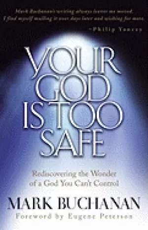 Image of your god is too safe rediscovering the wonder of a god you cant control