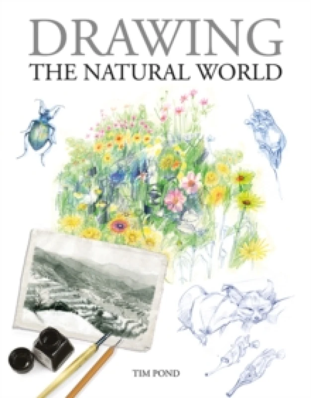 Image of Drawing the Natural World Paperback / softback