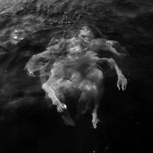 Image of Noyee Vinyl