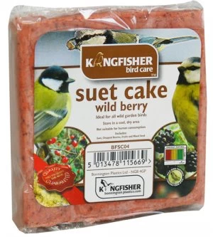 Image of Kingfisher Wild Berry Suet Cake