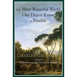 Image of The More Beautiful World Our Hearts Know Is Possible by Charles Eisenstein (Paperback, 2013)