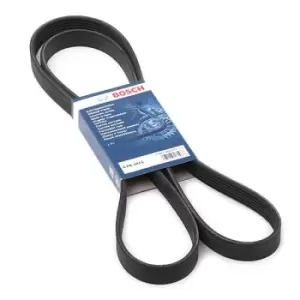 Image of Bosch V-ribbed belt 1 987 946 072 Serpentine belt,Auxiliary belt FORD,RENAULT,FIAT,MONDEO II Kombi (BNP),COUGAR (EC_),MONDEO II (BAP)