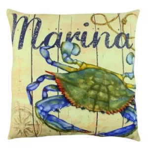 Image of A12571 Multicolor Cushion